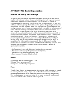 Kinship and Marriage: Social Organization Course Module