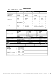Examen Mental y Perfil de Personalidad: Formulario